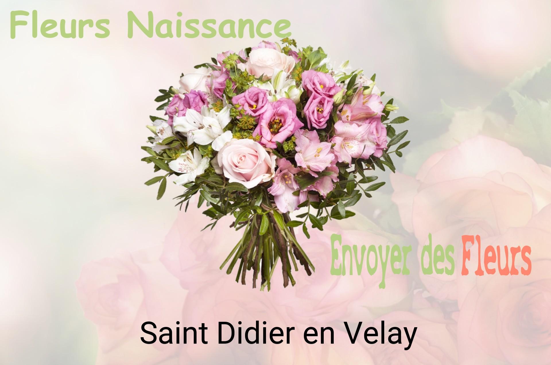 Bouquet de fleurs de naissance livré à Saint-Didier-en-Velay